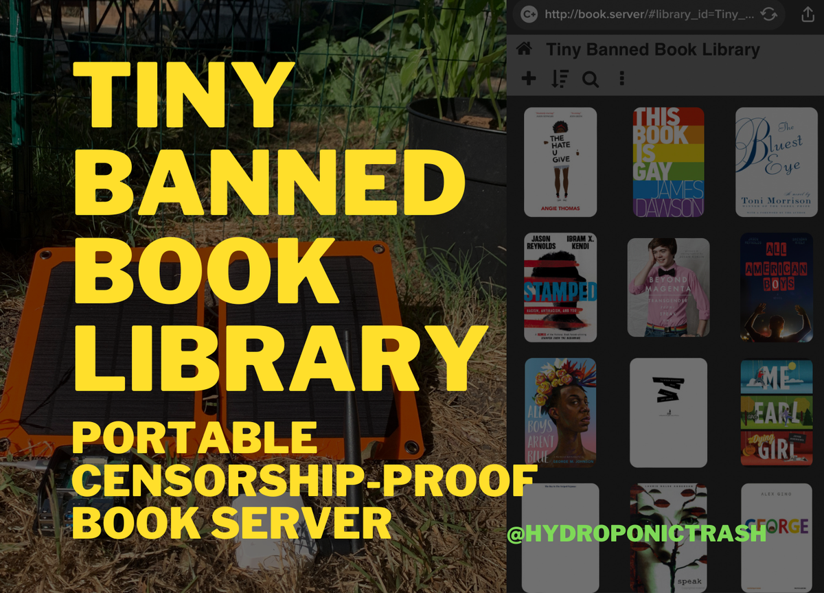 Tiny Banned Book Library