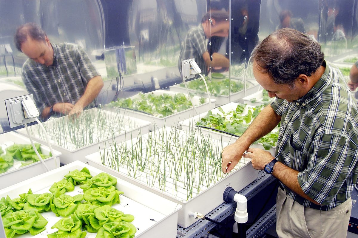 Hydroponic Growing. The Future Demystified.