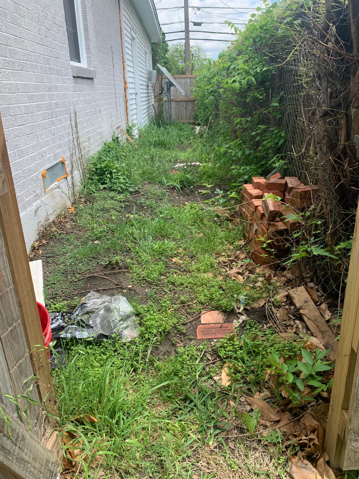 Sheet Mulching: How to recycle cardboard for fertile soil.