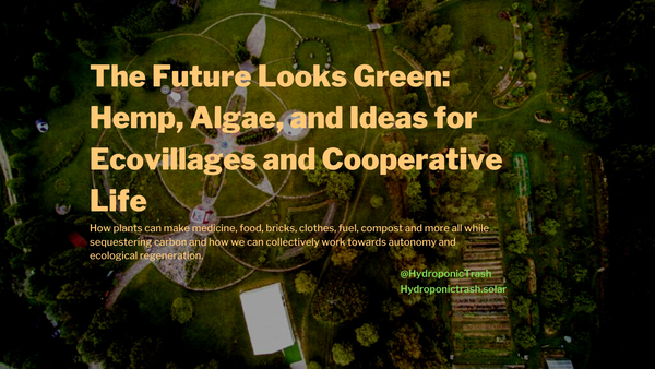 The Future Looks Green: Hemp, Algae, and Ideas for Ecovillages and Cooperative Life