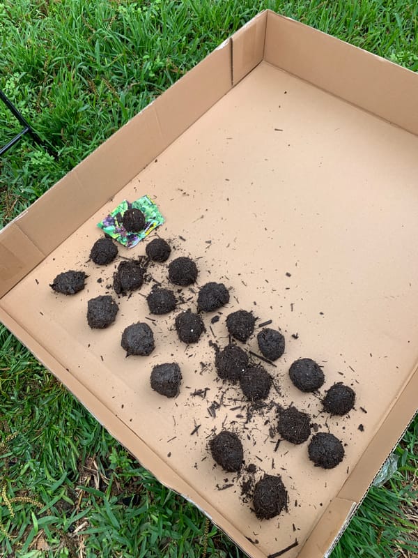 Seed Bombs, Autonomous Gardens & You