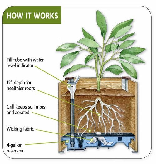 Growing in the Anthropocene