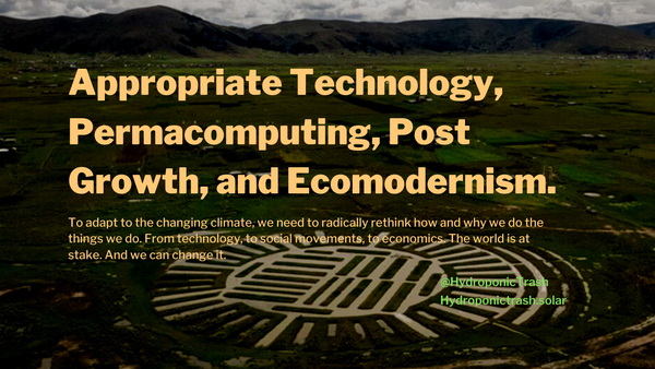 Appropriate Technology, Permacomputing, Post Growth, and Ecomodernism.