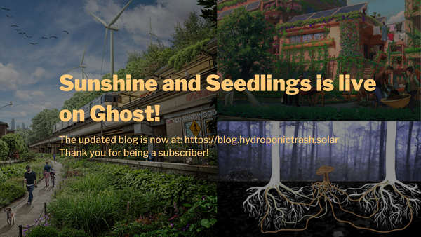 The new Sunshine and Seedlings blog is live!